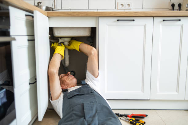 Best Local Plumber Services  in Century, FL